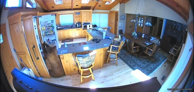 A cabin in California that was broken into by two bears last month. 