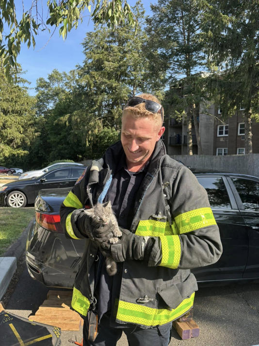 Firefighter in Connecticut rescues a cat that was in an auto accident. Firefighter in Connecticut rescues a cat that was in an auto accident.