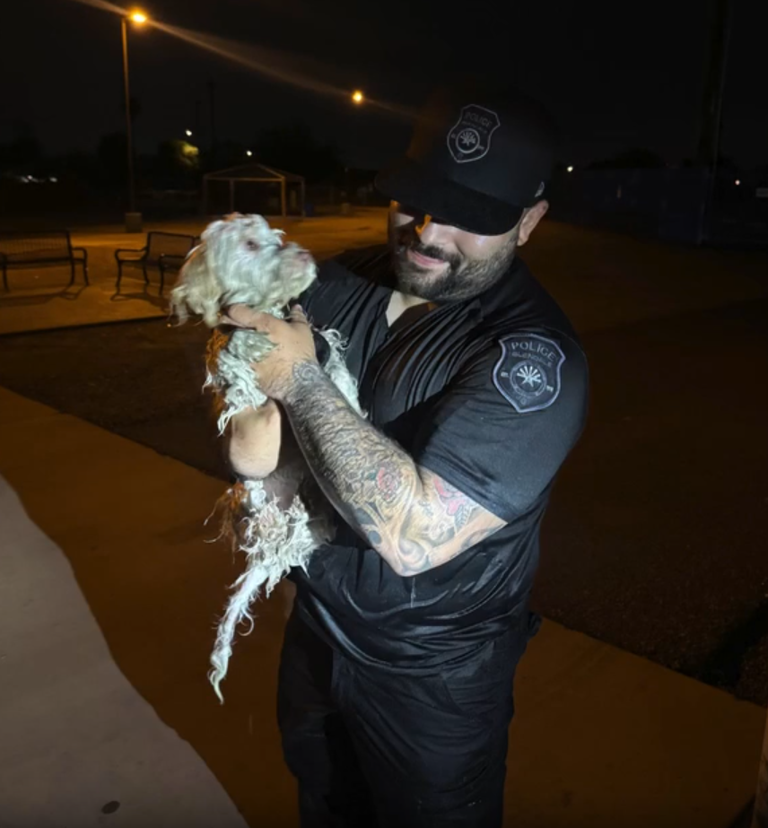Glendale police officer rescues a dog that fell into a canal in Arizona