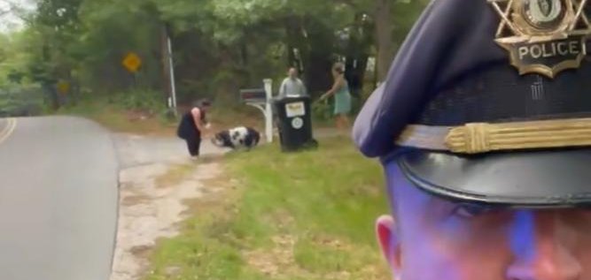 Orleans police officer uses food to catch a loose hog.  