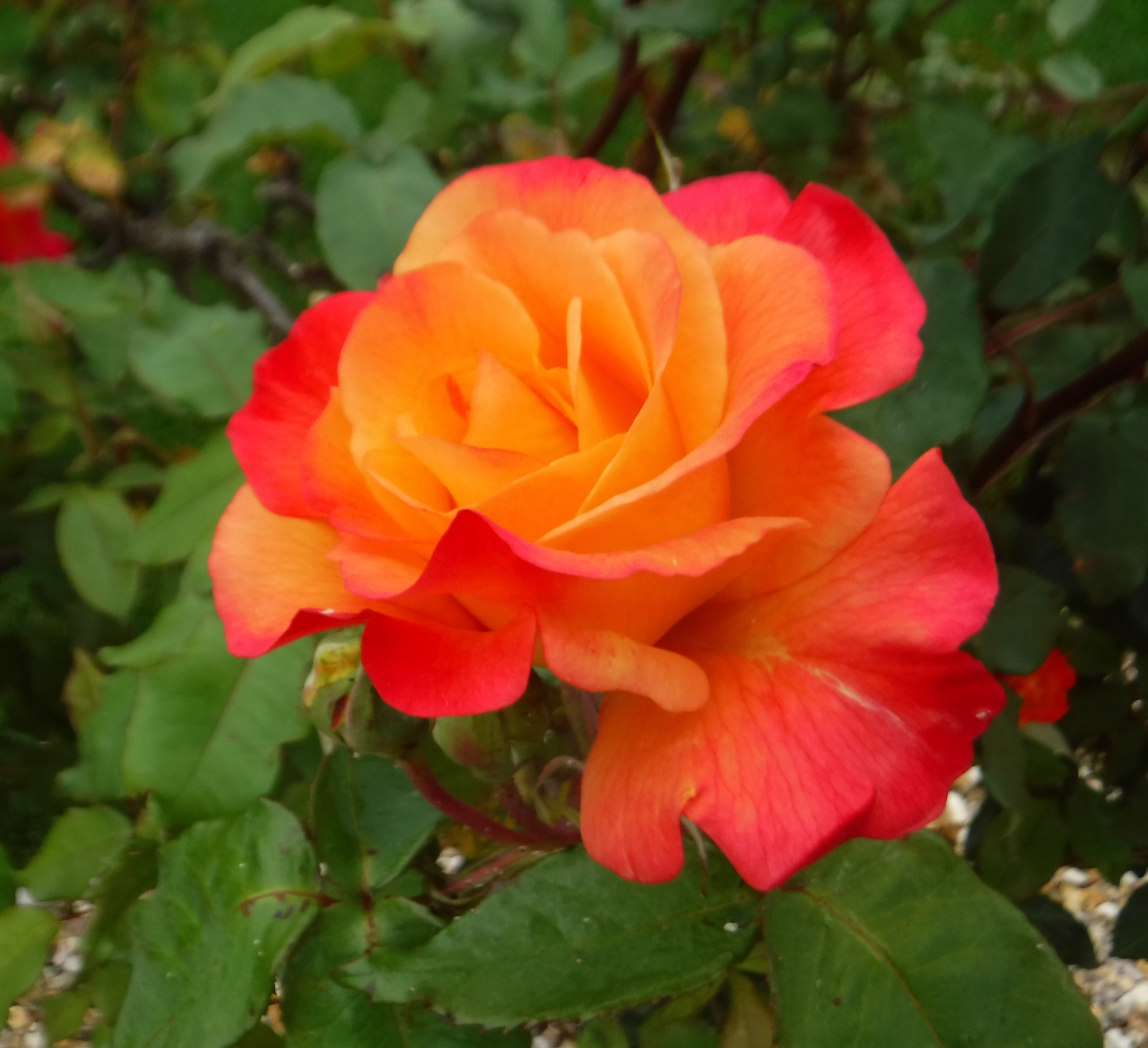 Photo taken by me 2019