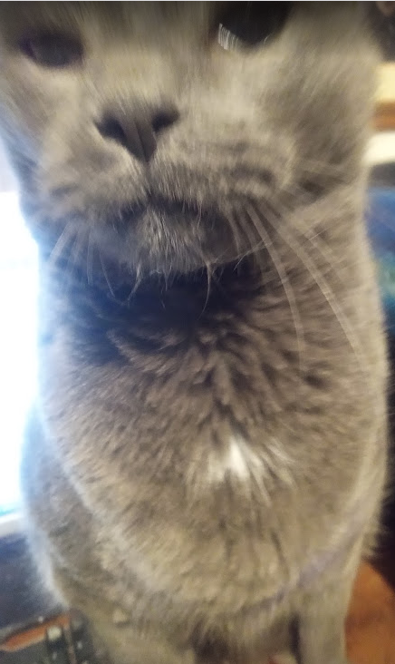 Mom I want to help
