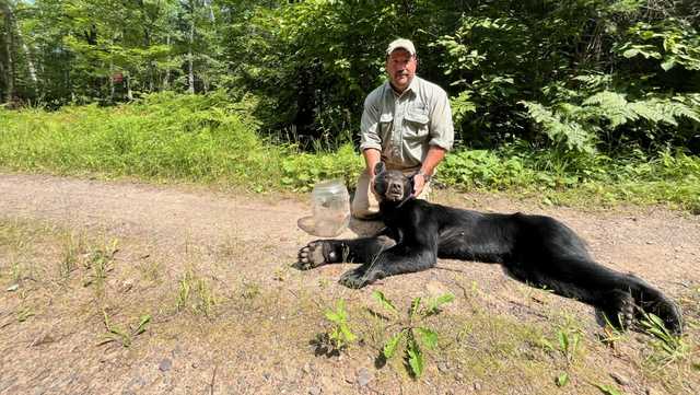 Wildlife official in Wisconsin seen with a bear who had a jar stuck on her head  