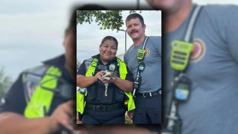 First responders rescue a kitten who was in a storm drain in Florida.