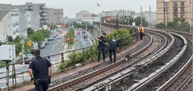 NYPD officers rescue a dog on the train tracks in New York City NYPD officers rescue a dog on the train tracks in New York City