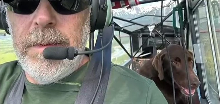 Volunteer pilot John Kagerer rescue a lost dog in Alaska,