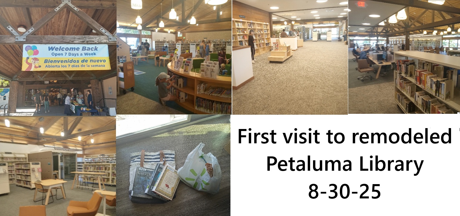 Collage of photos I took at the Library
