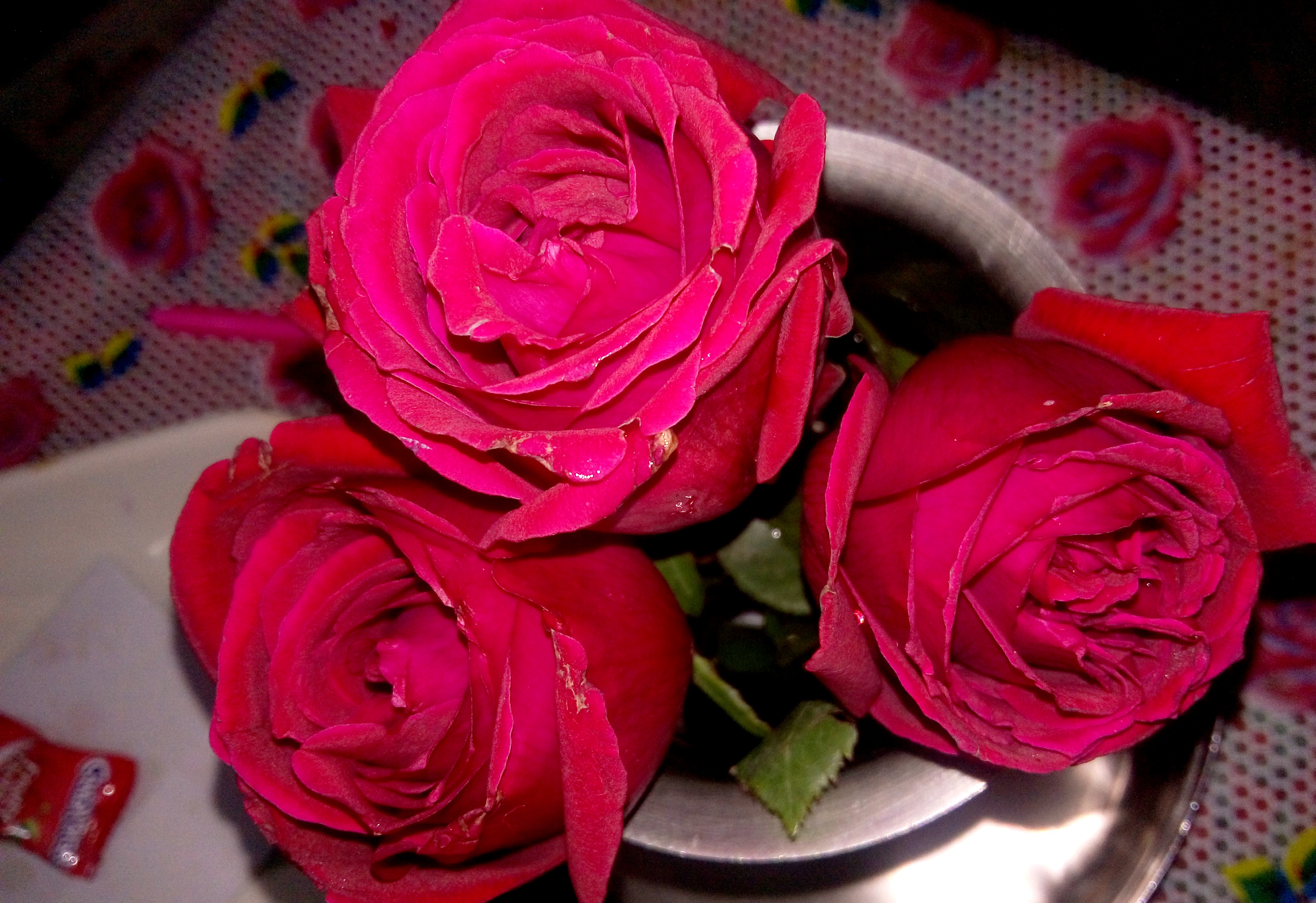 My favourite Red Roses