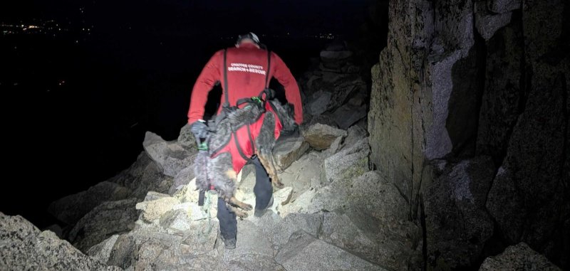Colorado rescue team members rescue puppies who were in a mountain
