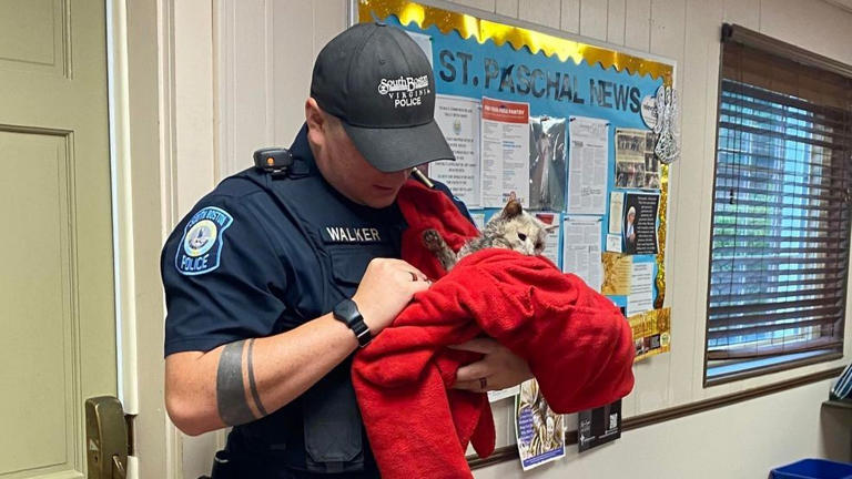 South Boston Virginia Officer Walker rescues a sick kitten. 