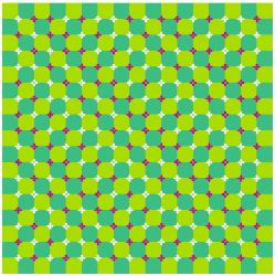 Optical Illusion #1 - This image appears to be wavy.
