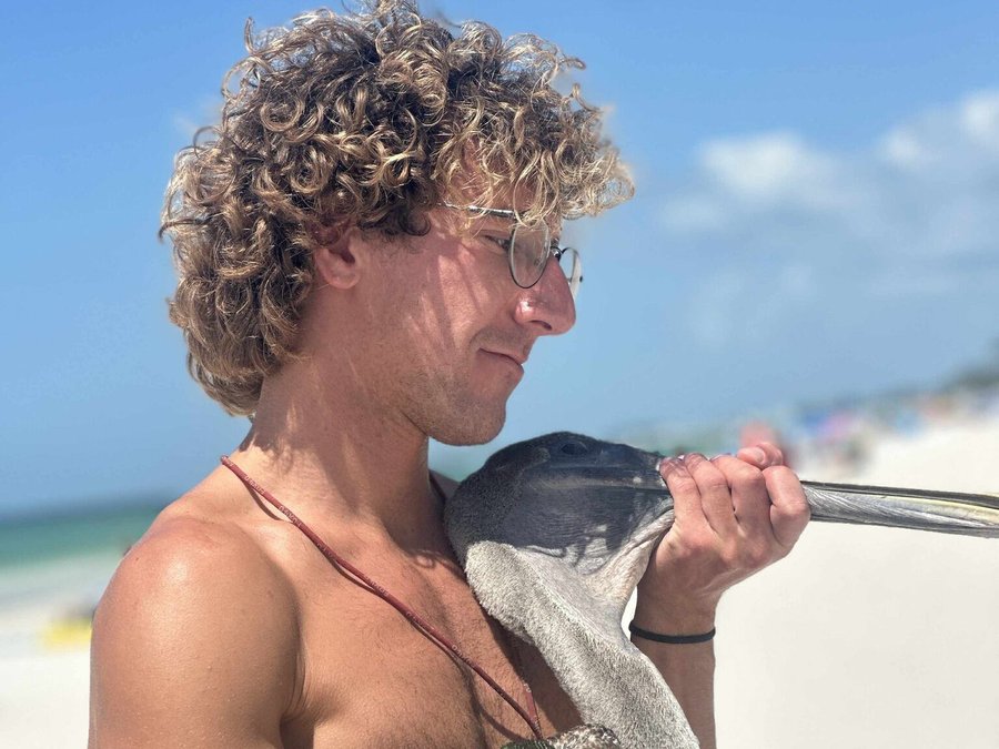 Manatee County lifeguard Owen Munday rescues an injured pelican in Florida 