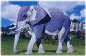Blue Elephant - From Eric's Funny pics site