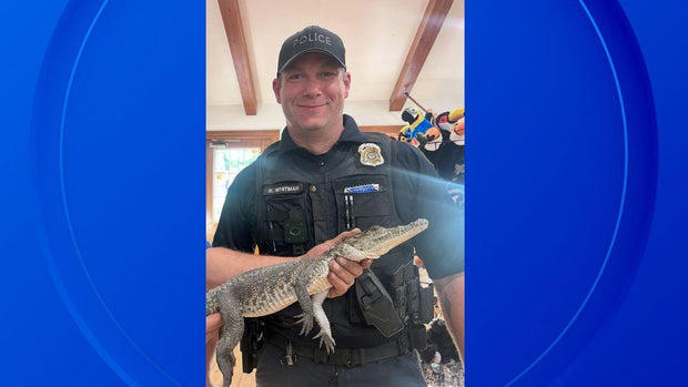 Police officer in Michigan with a small crocodile Police officer in Michigan with a small crocodile