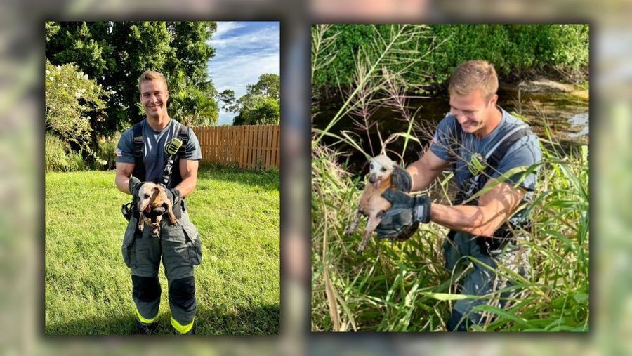 Firefighters in Florida rescue a dog trapped in the bottom of a ditch