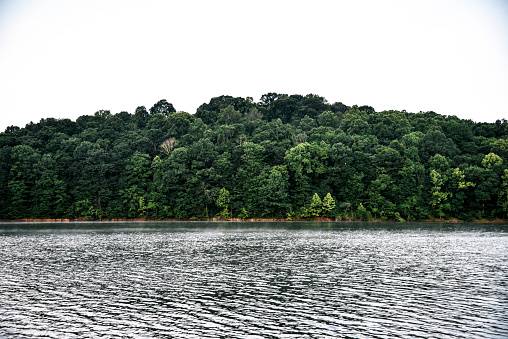 Hoosier National Forest