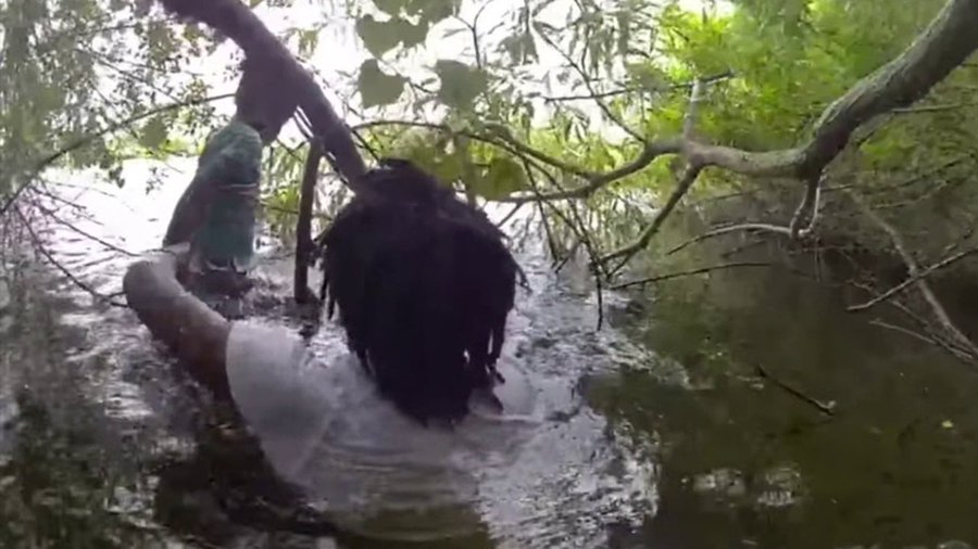 17 year old male teenager saves his 5 year old sister from drowning in a lake 