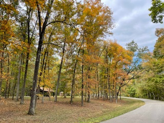 Scenery at Clark State Forest.  Photo taken by and the property of FourWalls.