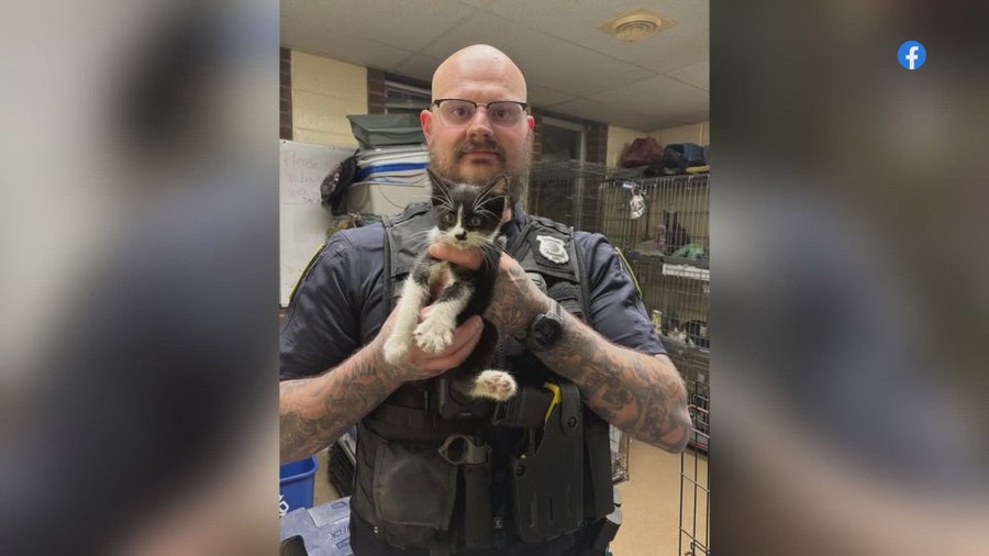 Euclid Ohio police officer Marcus Wolk rescues a kitten trapped inside of an auto engine Euclid Ohio police officer Marcus Wolk rescues a kitten trapped inside of an auto engine