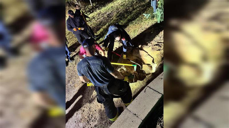 Firefighters in Colorado rescue a dog who was stuck in a pipe Firefighters in Colorado rescue a dog who was stuck in a pipe
