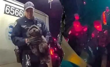 NYPD rescue a dog trapped underneath subway tracks