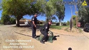Cottonwood Arizona police and animal control capture a loose emu Cottonwood Arizona police and animal control capture a loose emu