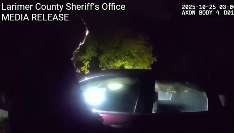 Bear rescued by deputies in Larimer County Colorado Bear rescued by deputies in Larimer County Colorado