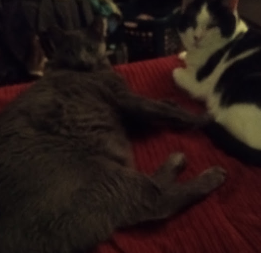 Bruno and Pedro tucking us in. Bruno and Pedro tucking us in.