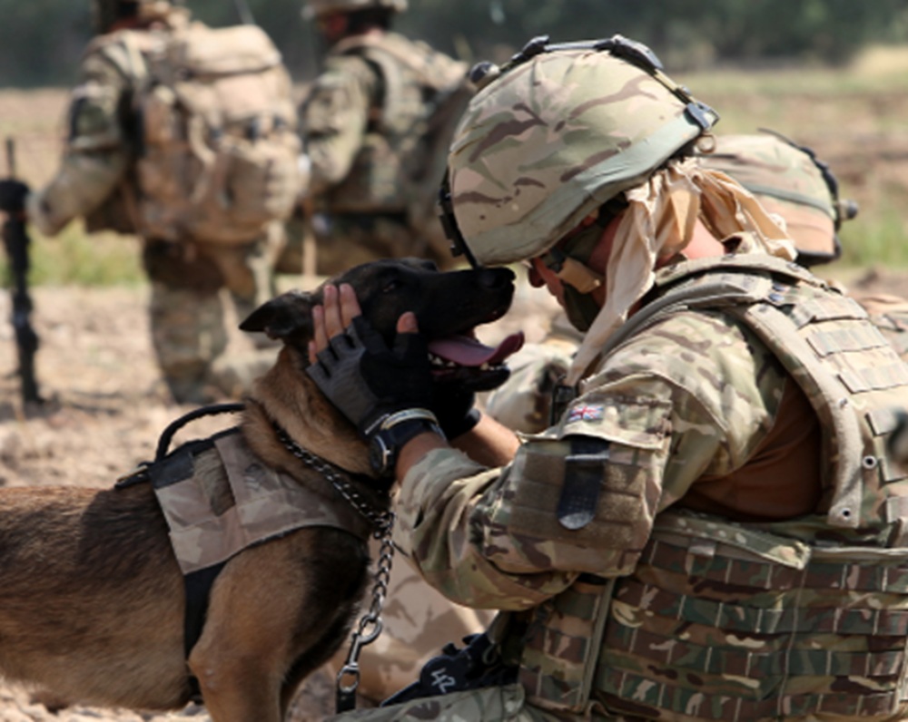 This is a screen shot from the web