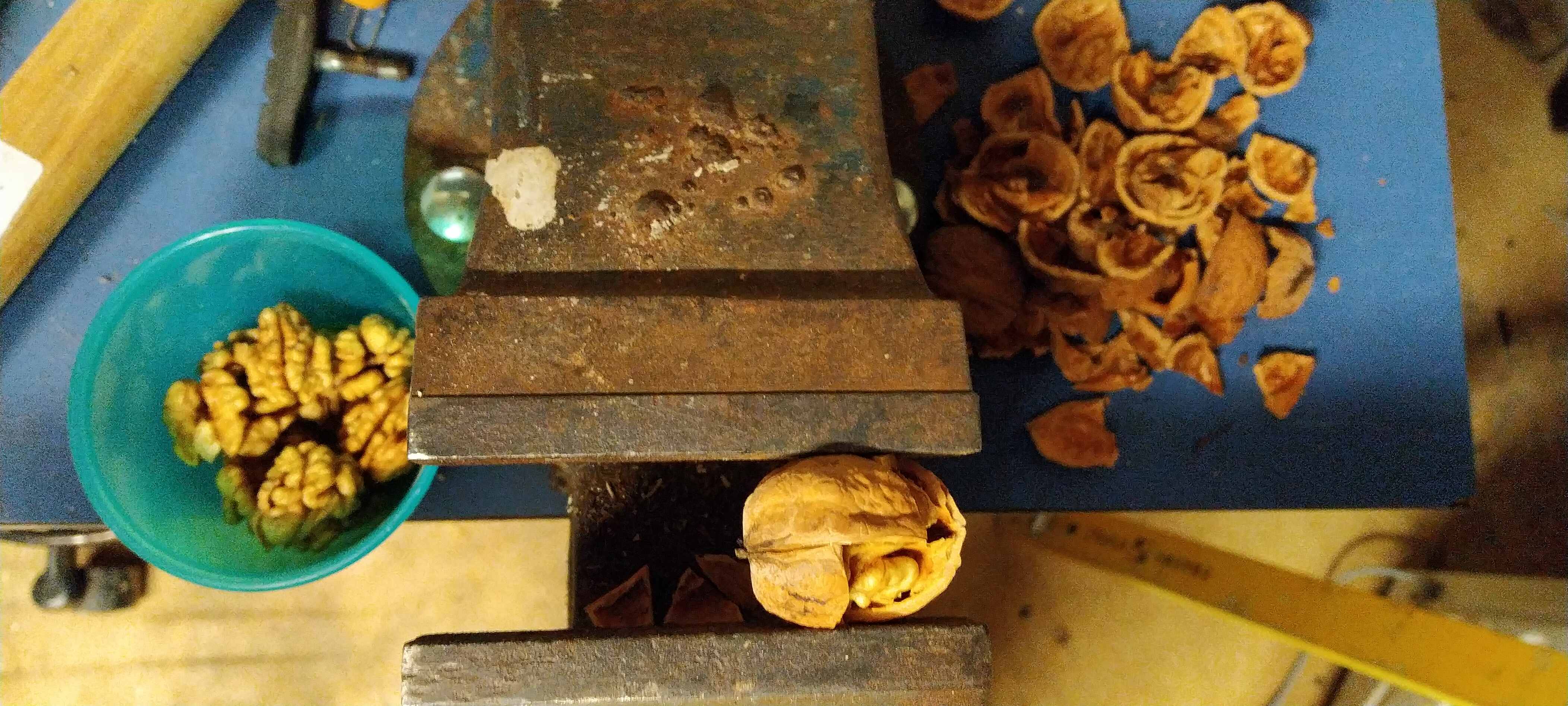 nut crackers, walnut, vice, kitchen, appliance