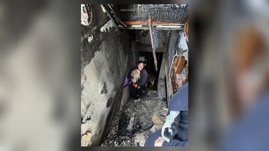 Cat rescued from a burning home in Monroe Township