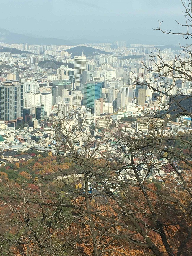 View from cable car to Namsam Tower, South Korea