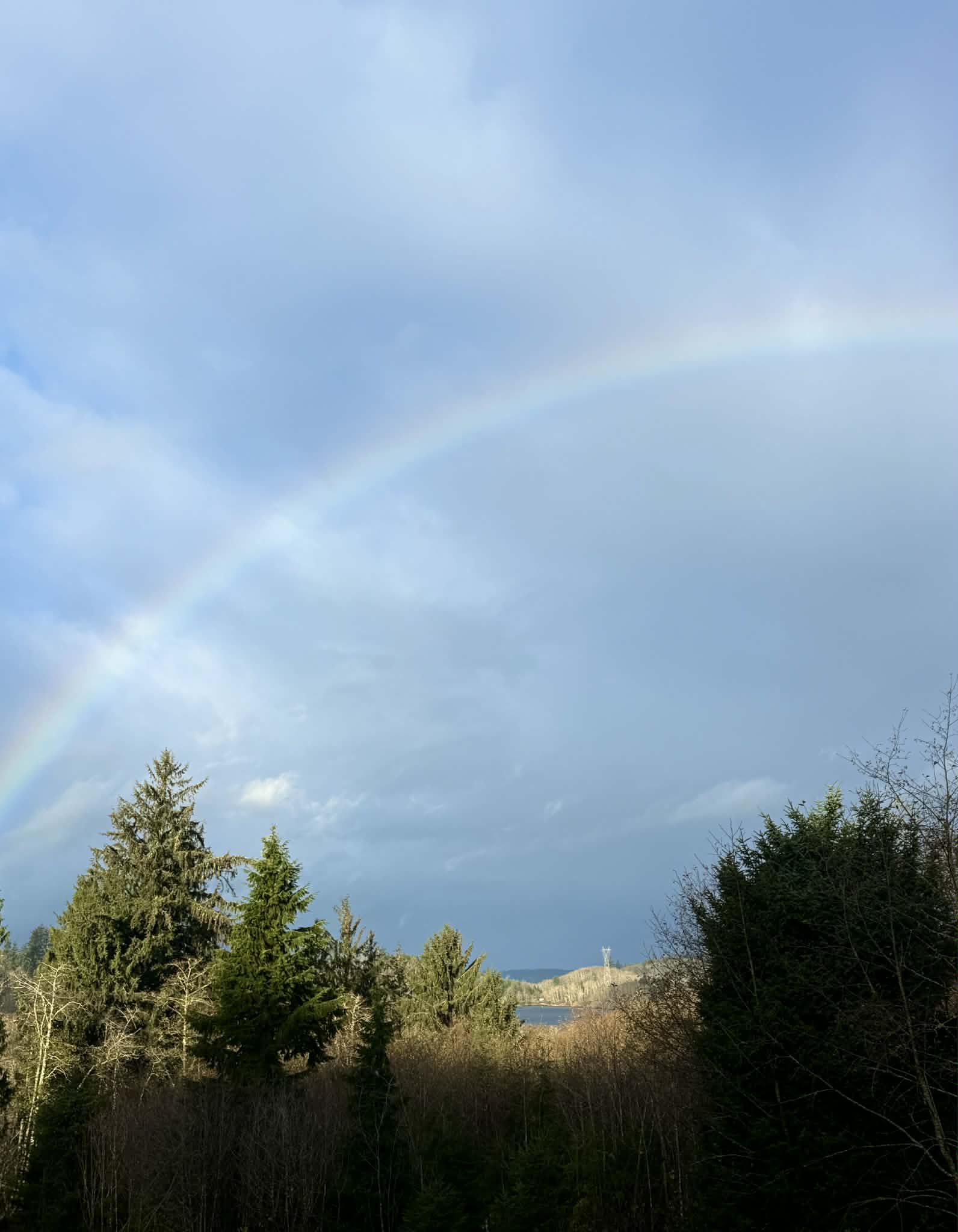 Rainbow on our property this morning.