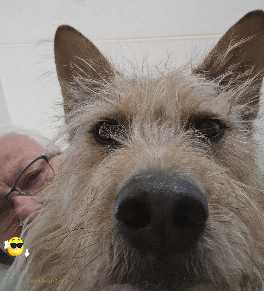 Just Roscoe & me =) Just Roscoe & me =)