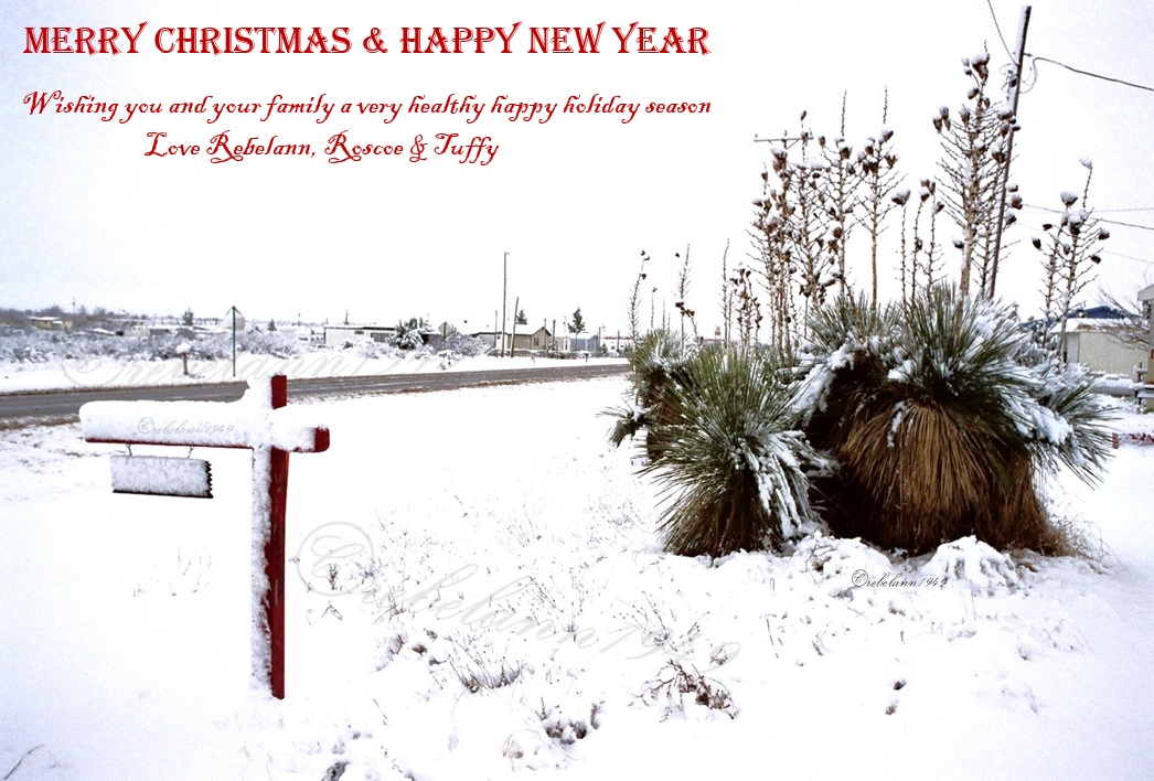 MERRY CHRISTMAS AND HAPPY NEW YEAR from the desert southwest Texas MERRY CHRISTMAS AND HAPPY NEW YEAR from the desert southwest Texas