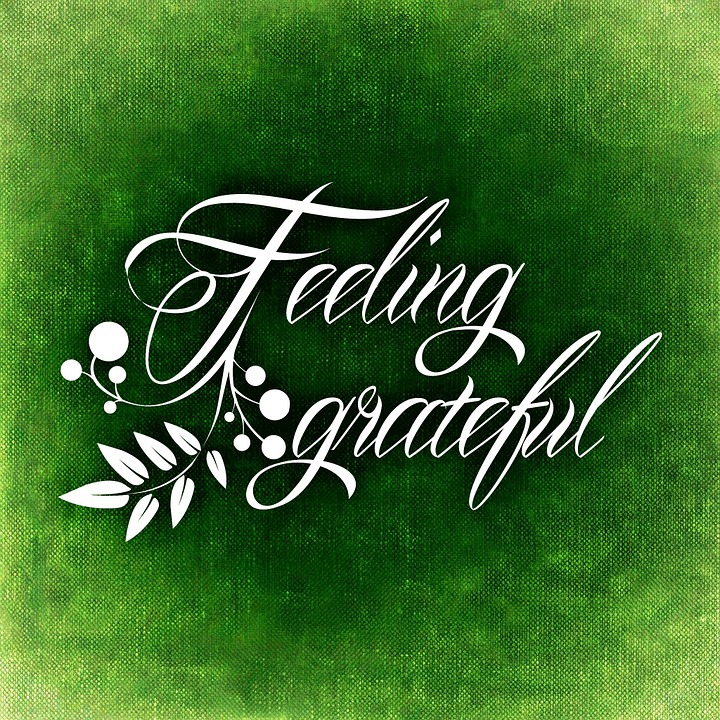 Photo Credit: Pixabay. Photo Credit: Pixabay.