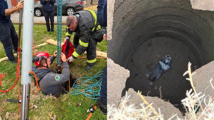 Firefighters in Pleasure Ridge Park rescue a dog trapped inside of a septic tank