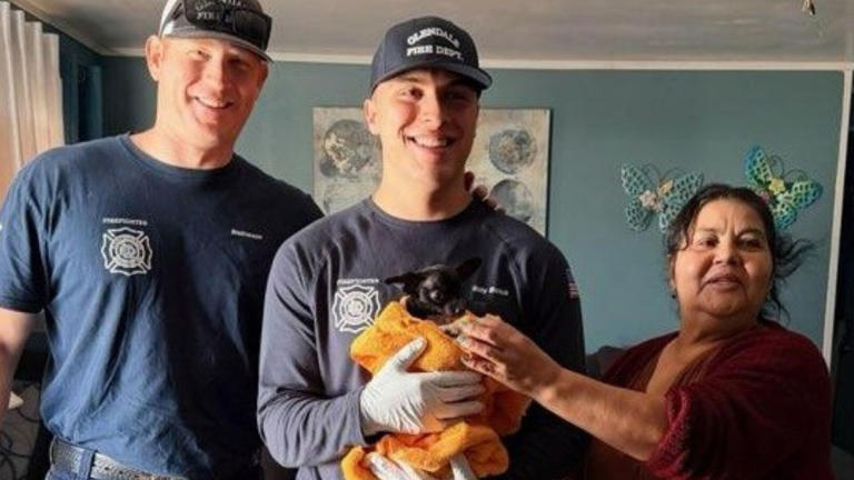 Glendale Arizona firefighters rescue a Chihuahua in Arizona