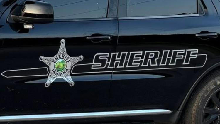 Logo of the Vigo County Sheriff's Office in Indiana  