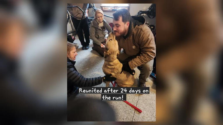 Missing dog reunited with his owner in Ohio.