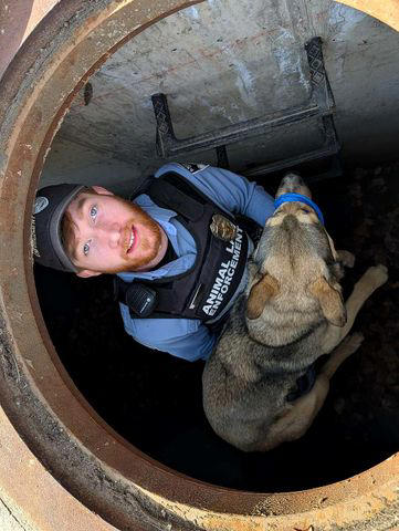 Corporal Rollins rescues a lost dog in Colorado Springs Colorado