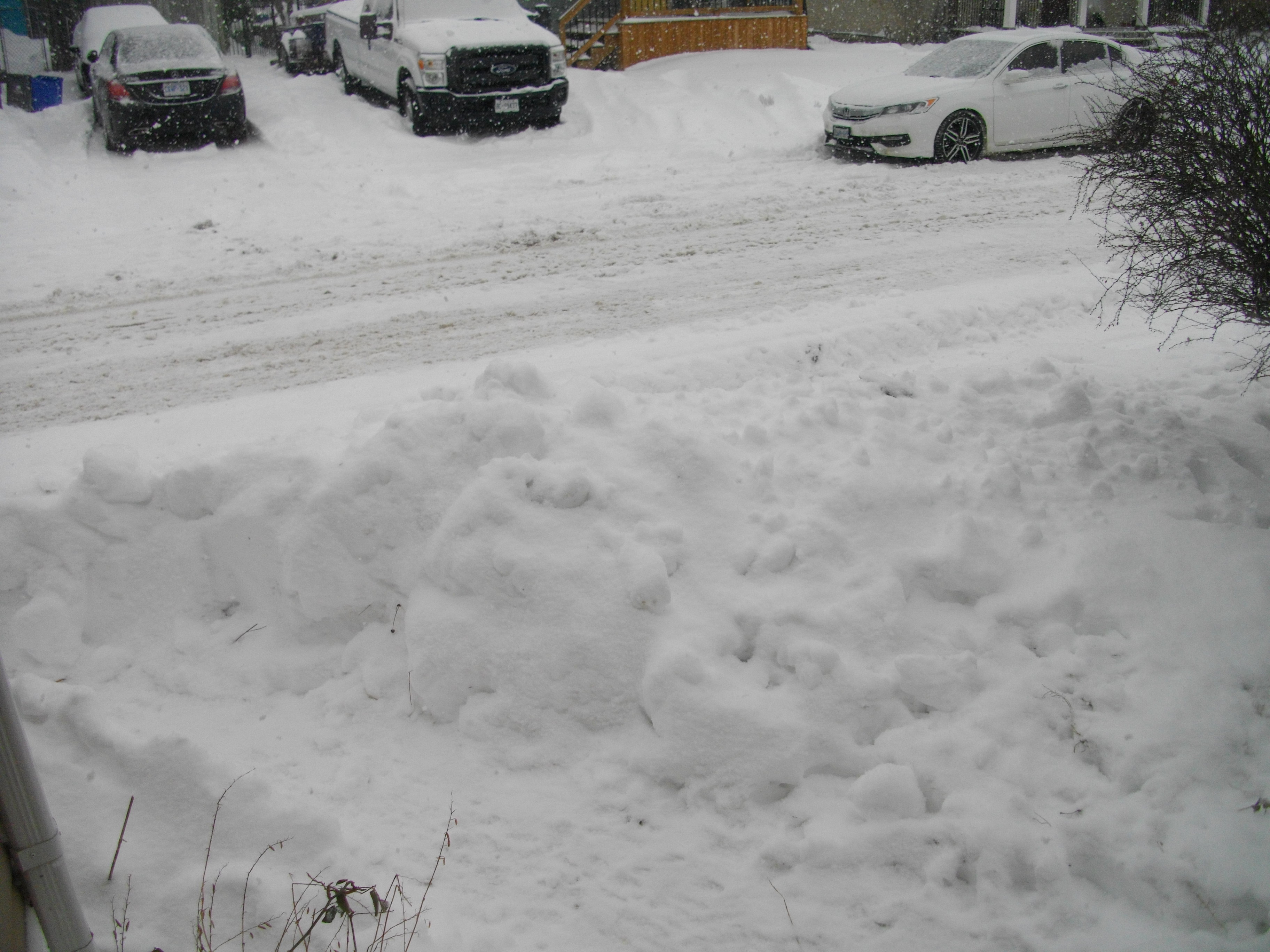 snow, snowing, more snow