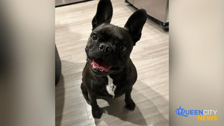 Julio returns home to his owner after nine months away from home. 