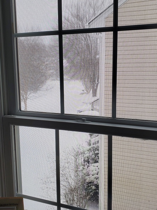 my photo of our big snow