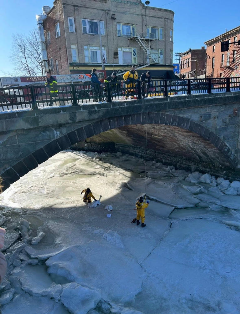 Firefighters in Norwich CT rescue a swan that was in a frozen river  