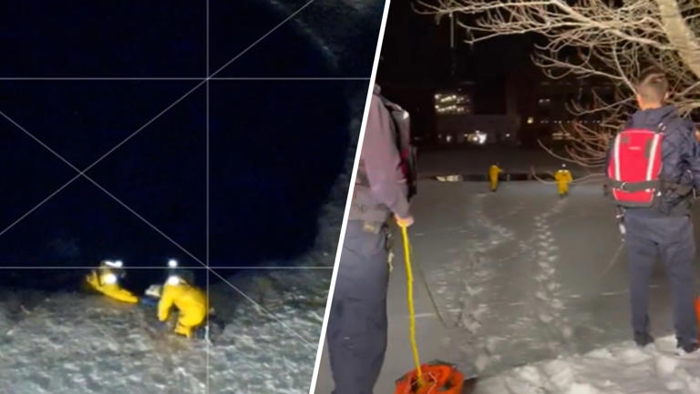 Firefighters rescue a dog that fell into a pond in Maynard Massachusetts