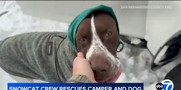 A dog named Mud and his owner rescued by firefighters near Holcomb Valley CA