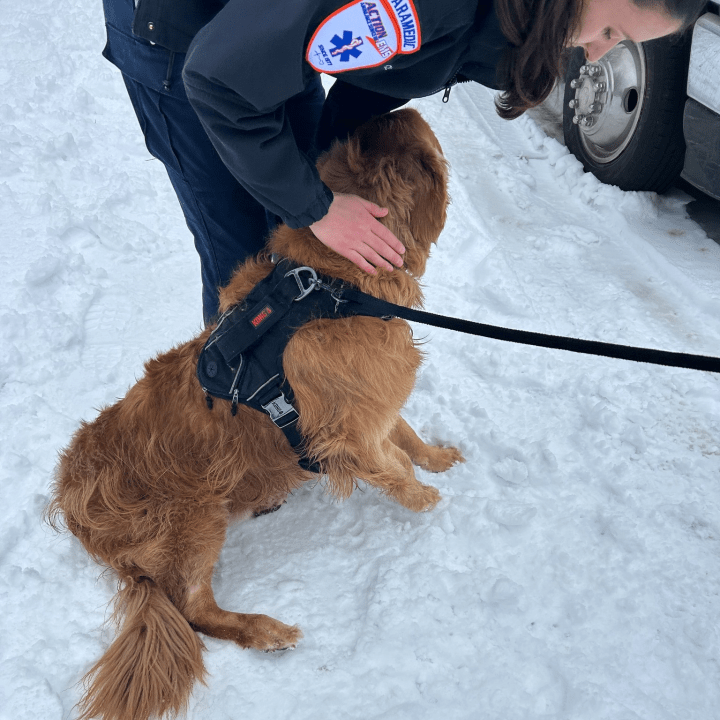 A dog is rescued by Hadley Massachusetts firefighter on Saturday  