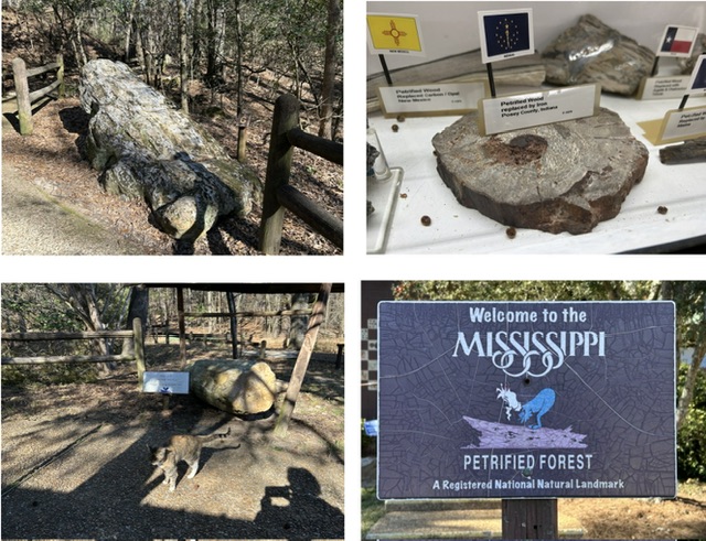 Photos from the day at the Mississippi Petrified Forest, Flora, MS. Photos taken by and the property of FourWalls. Photos from the day at the Mississippi Petrified Forest, Flora, MS. Photos taken by and the property of FourWalls.