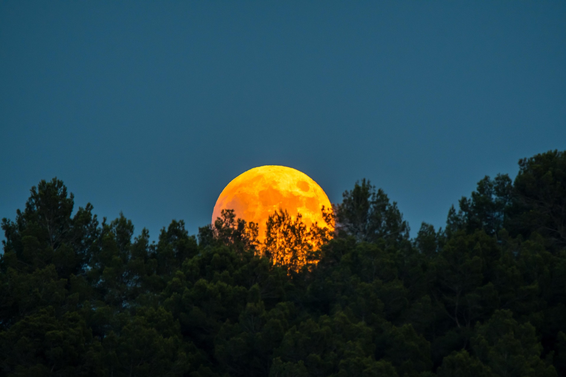 https://pixabay.com/photos/moon-red-moon-nature-night-darling-4343168/
